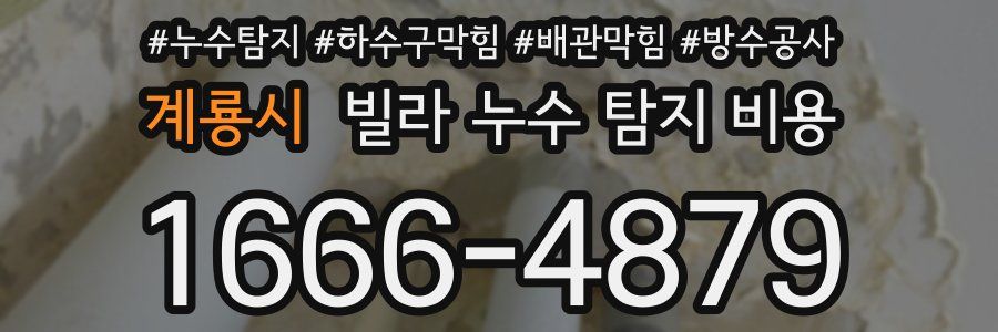 계룡시 빌라 누수 탐지 비용