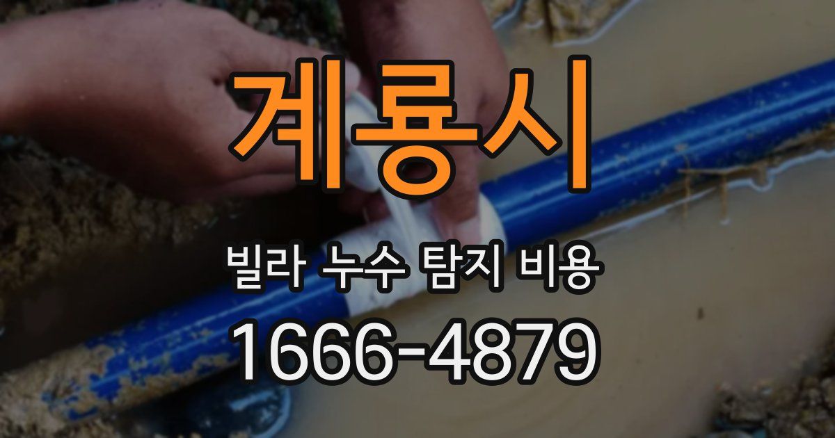 계룡시 빌라 누수 탐지 비용