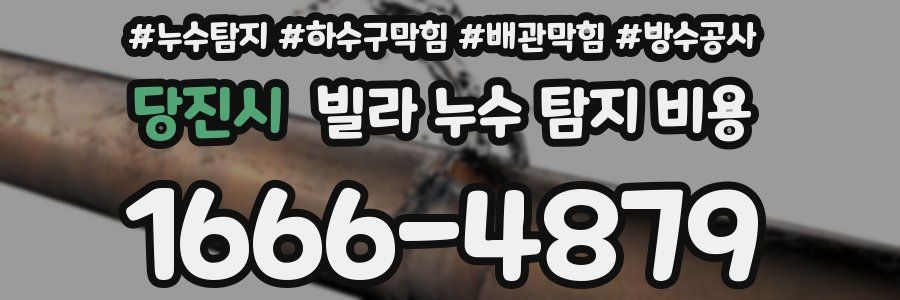 당진시 빌라 누수 탐지 비용