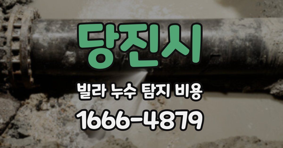 당진시 빌라 누수 탐지 비용