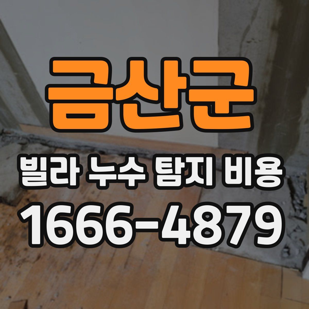 금산군 빌라 누수 탐지 비용