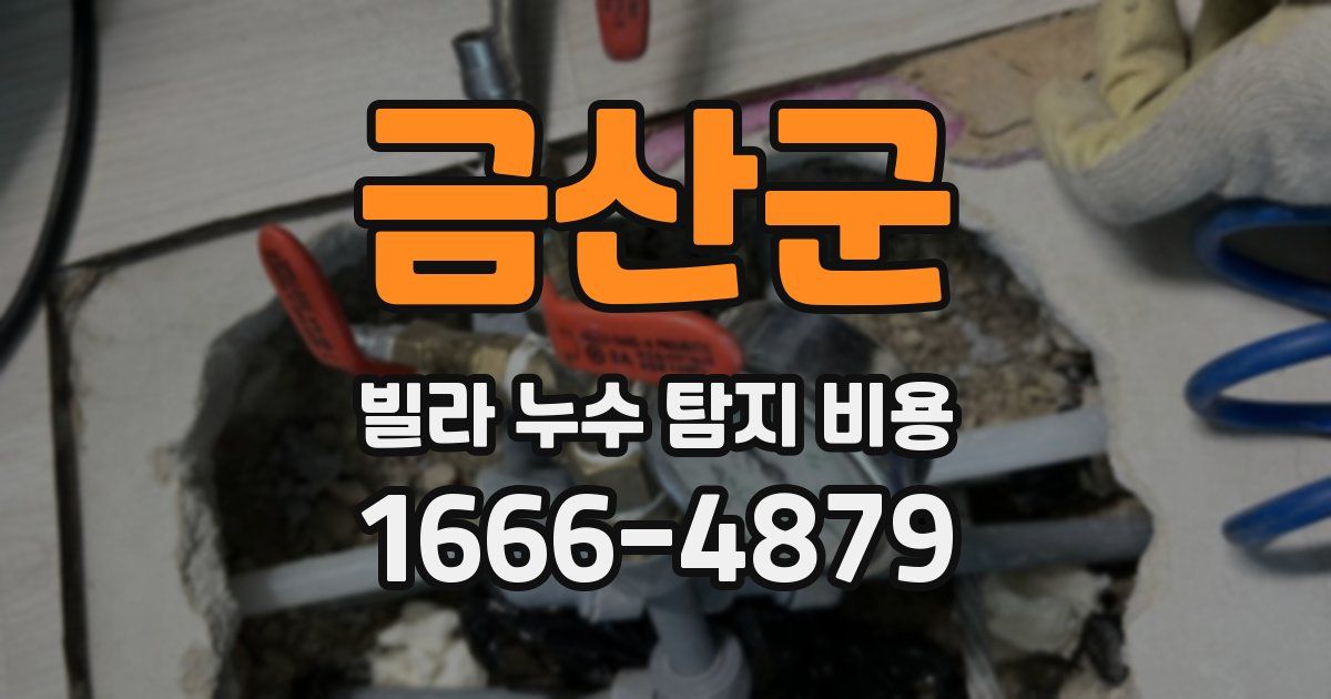 금산군 빌라 누수 탐지 비용