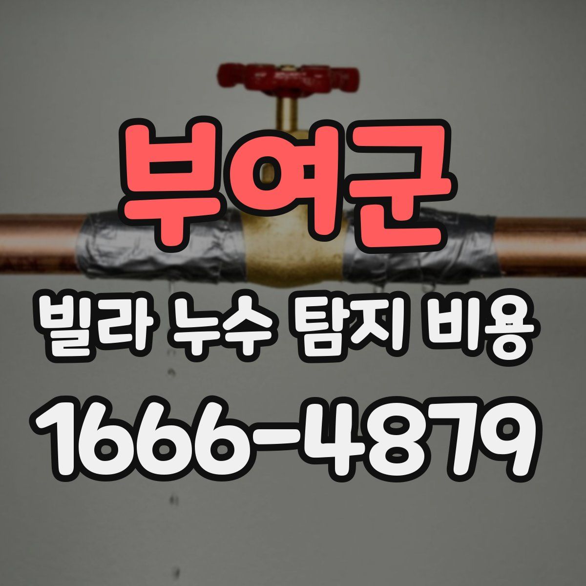 부여군 빌라 누수 탐지 비용