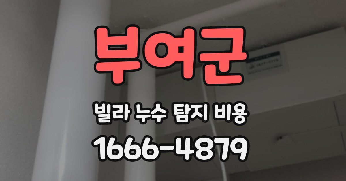 부여군 빌라 누수 탐지 비용