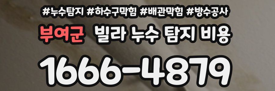 부여군 빌라 누수 탐지 비용