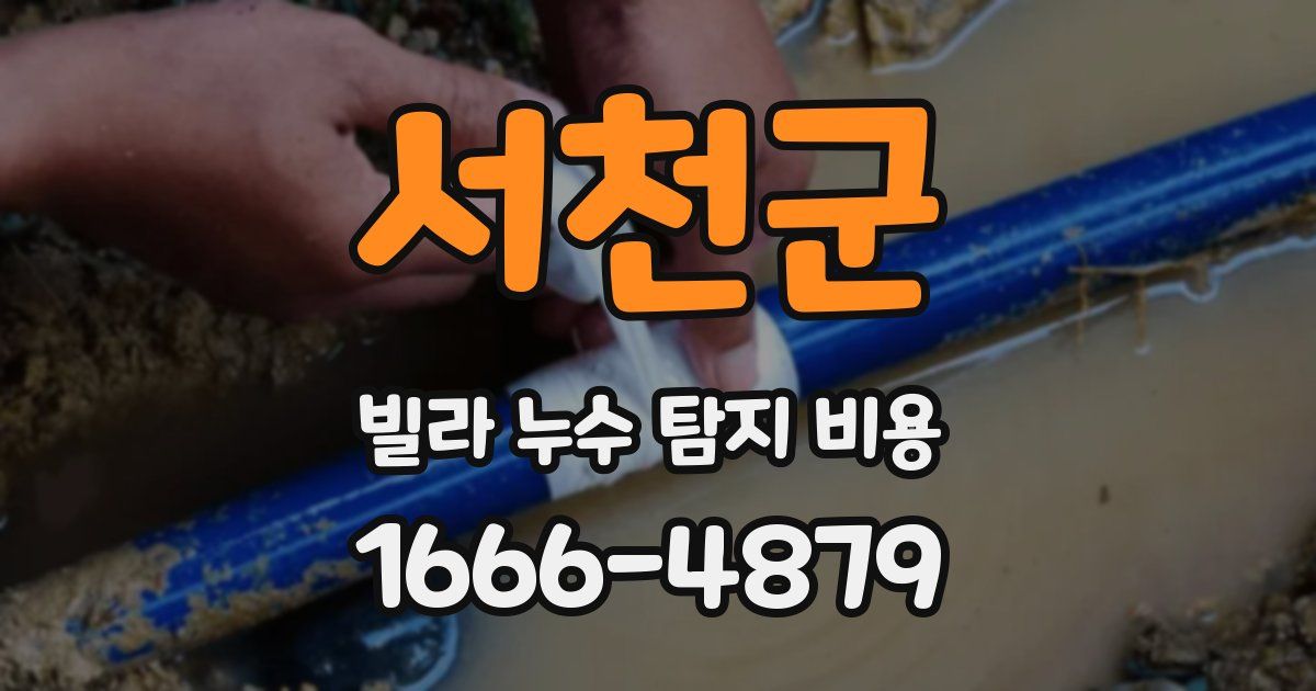 서천군 빌라 누수 탐지 비용