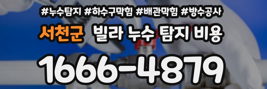 서천군 빌라 누수 탐지 비용