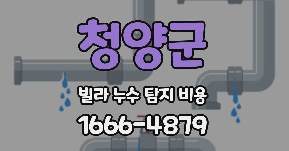 청양군 빌라 누수 탐지 비용