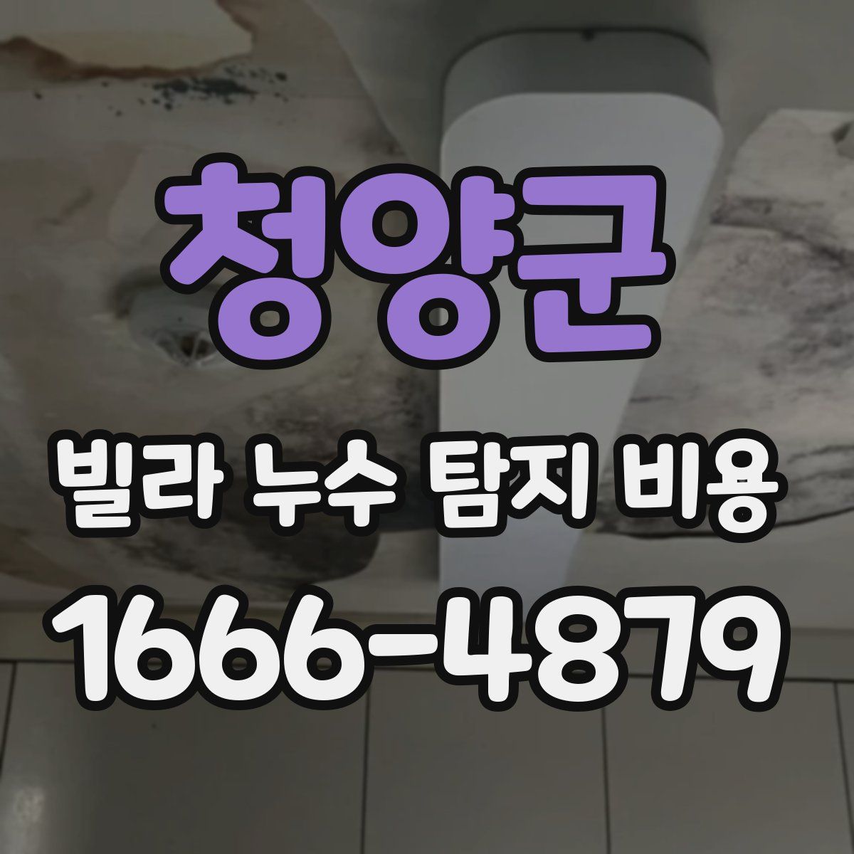 청양군 빌라 누수 탐지 비용