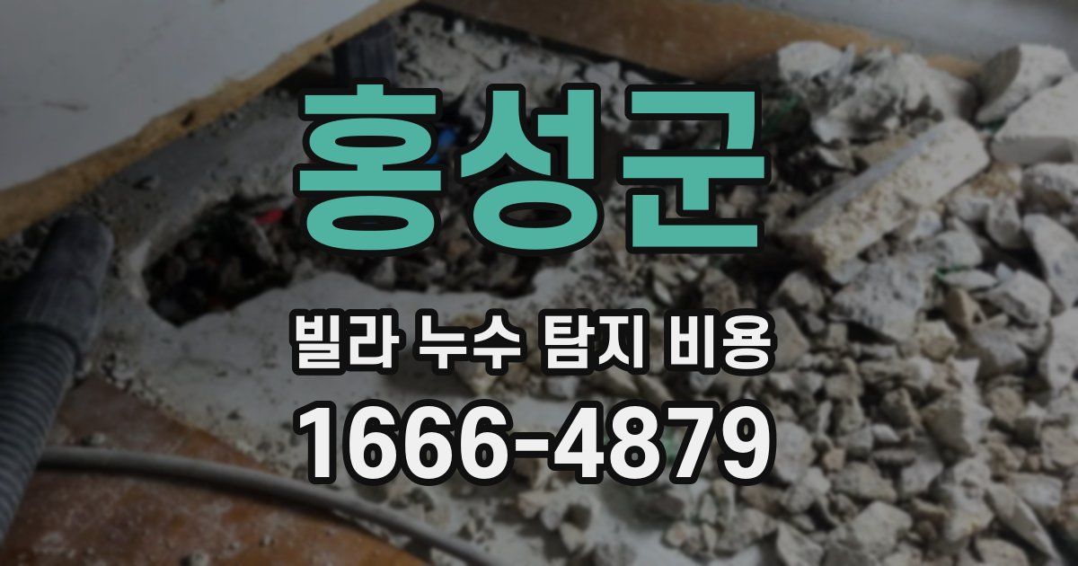 홍성군 빌라 누수 탐지 비용