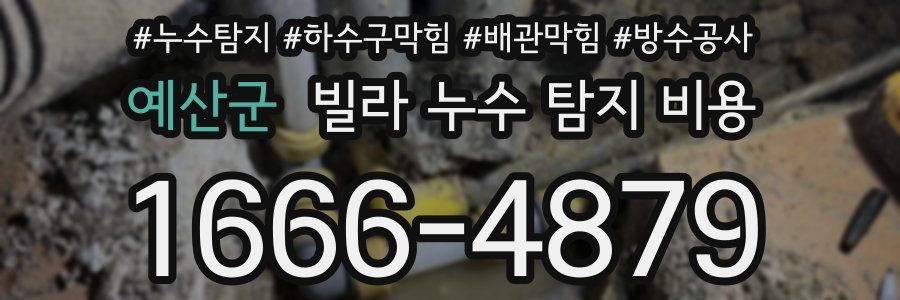 예산군 빌라 누수 탐지 비용