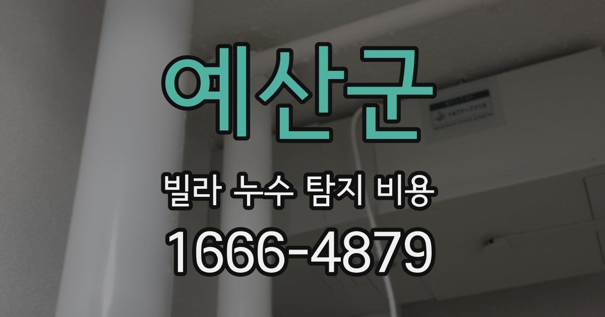 예산군 빌라 누수 탐지 비용
