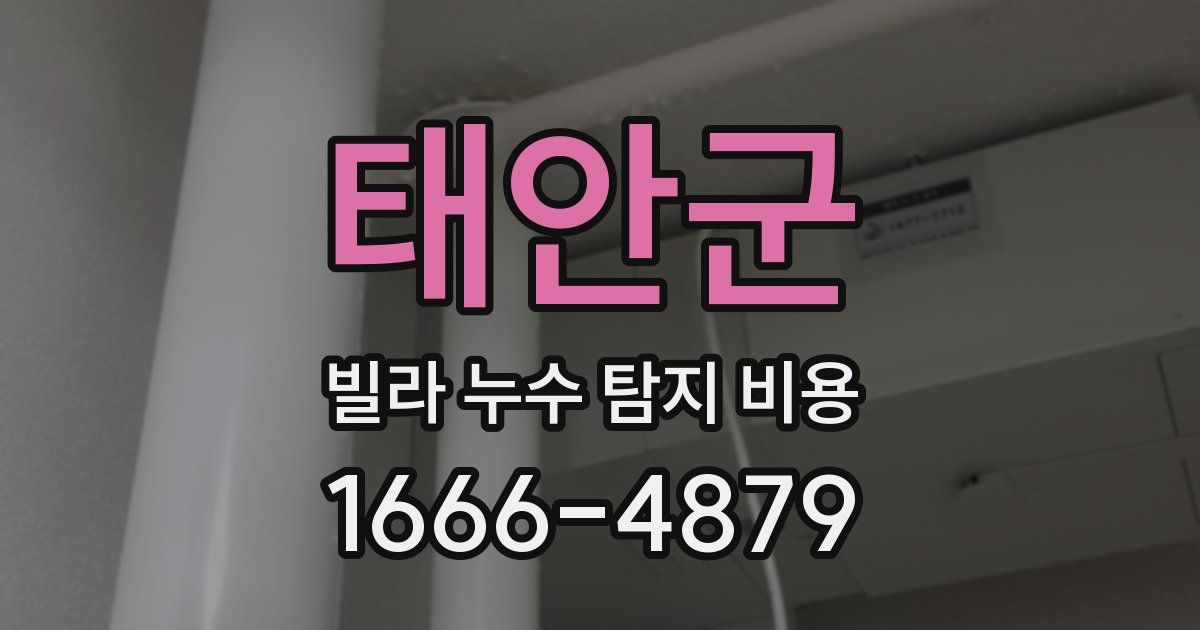 태안군 빌라 누수 탐지 비용