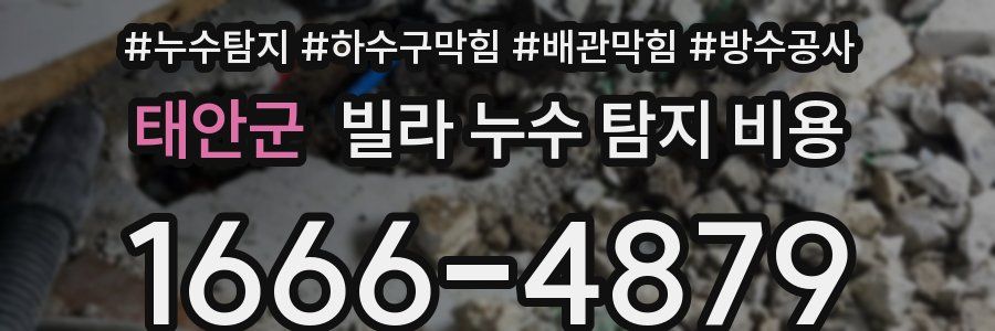 태안군 빌라 누수 탐지 비용