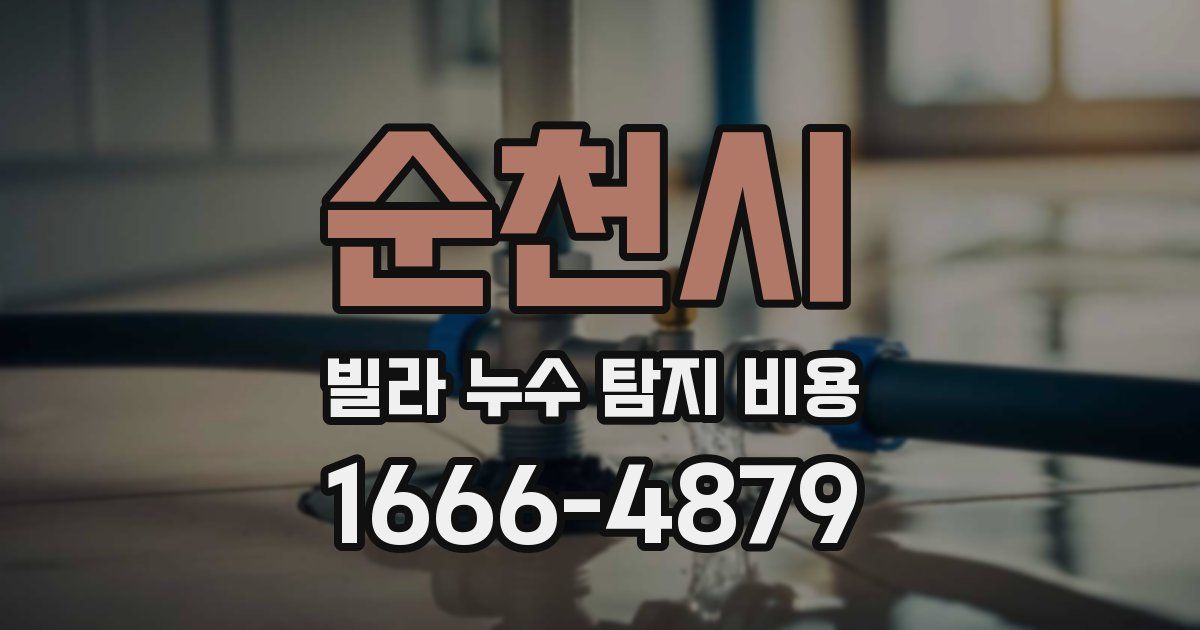 순천시 빌라 누수 탐지 비용