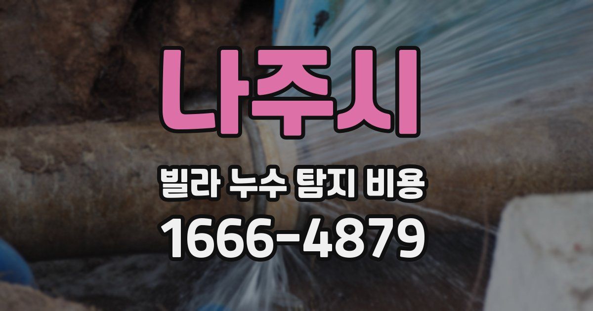 나주시 빌라 누수 탐지 비용