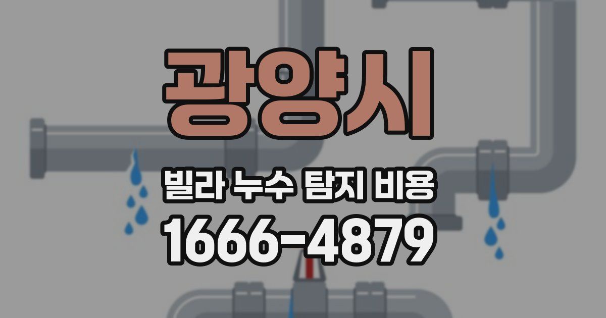 광양시 빌라 누수 탐지 비용