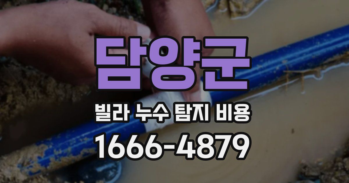 담양군 빌라 누수 탐지 비용