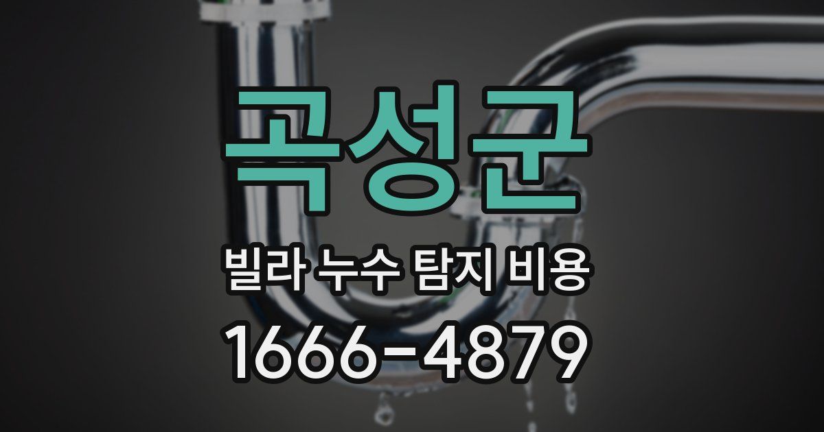 곡성군 빌라 누수 탐지 비용