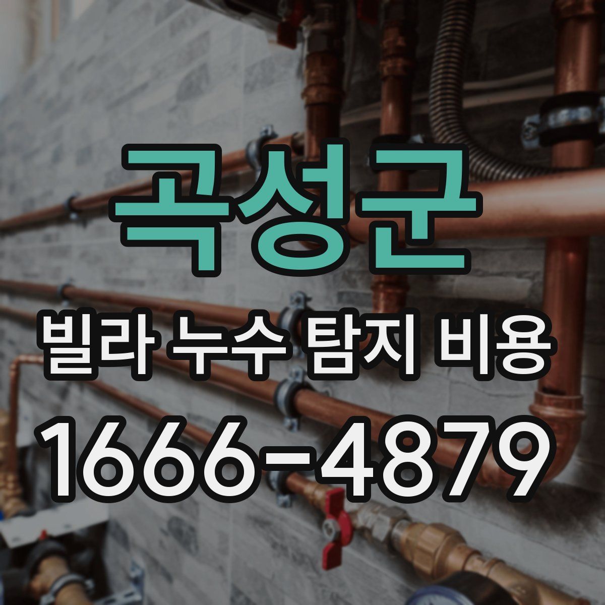 곡성군 빌라 누수 탐지 비용