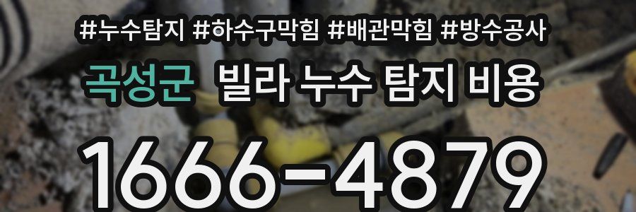 곡성군 빌라 누수 탐지 비용