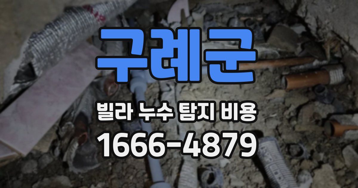 구례군 빌라 누수 탐지 비용