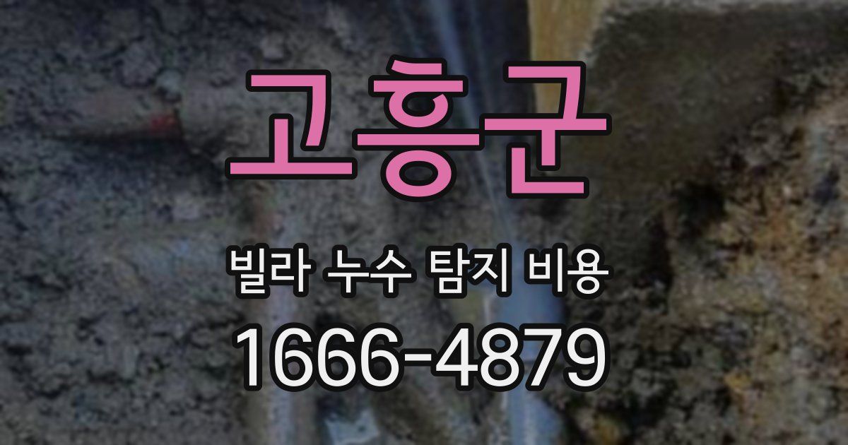 고흥군 빌라 누수 탐지 비용