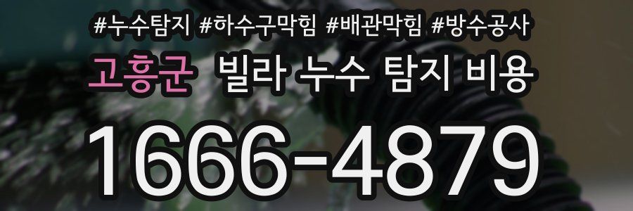 고흥군 빌라 누수 탐지 비용