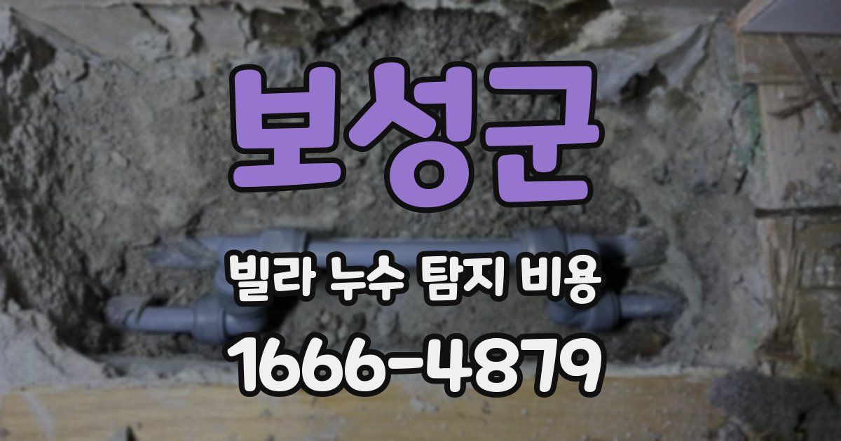 보성군 빌라 누수 탐지 비용