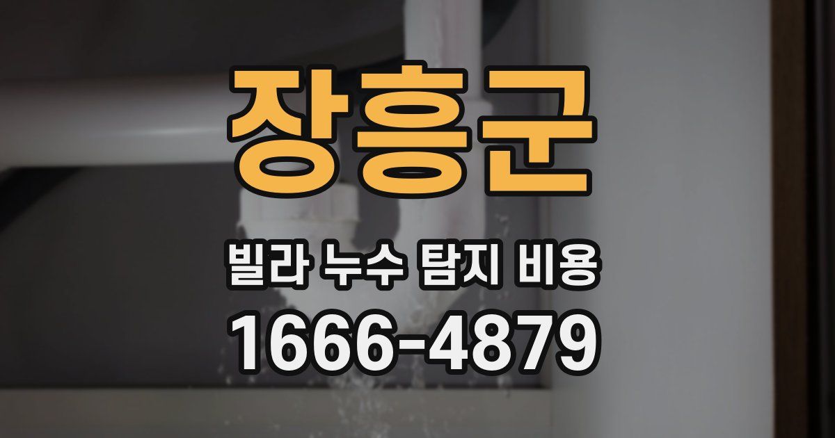 장흥군 빌라 누수 탐지 비용