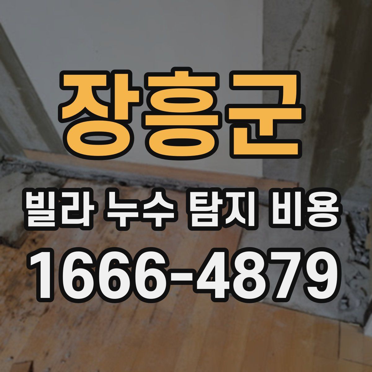 장흥군 빌라 누수 탐지 비용