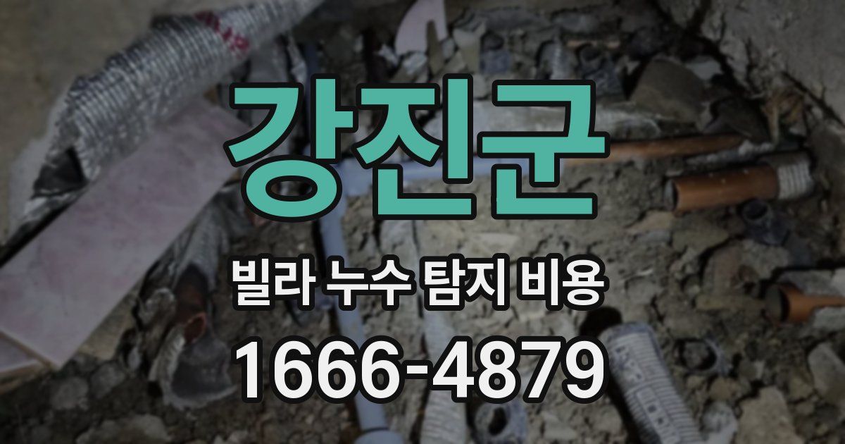 강진군 빌라 누수 탐지 비용
