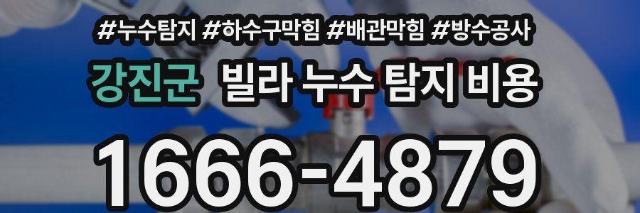 강진군 빌라 누수 탐지 비용