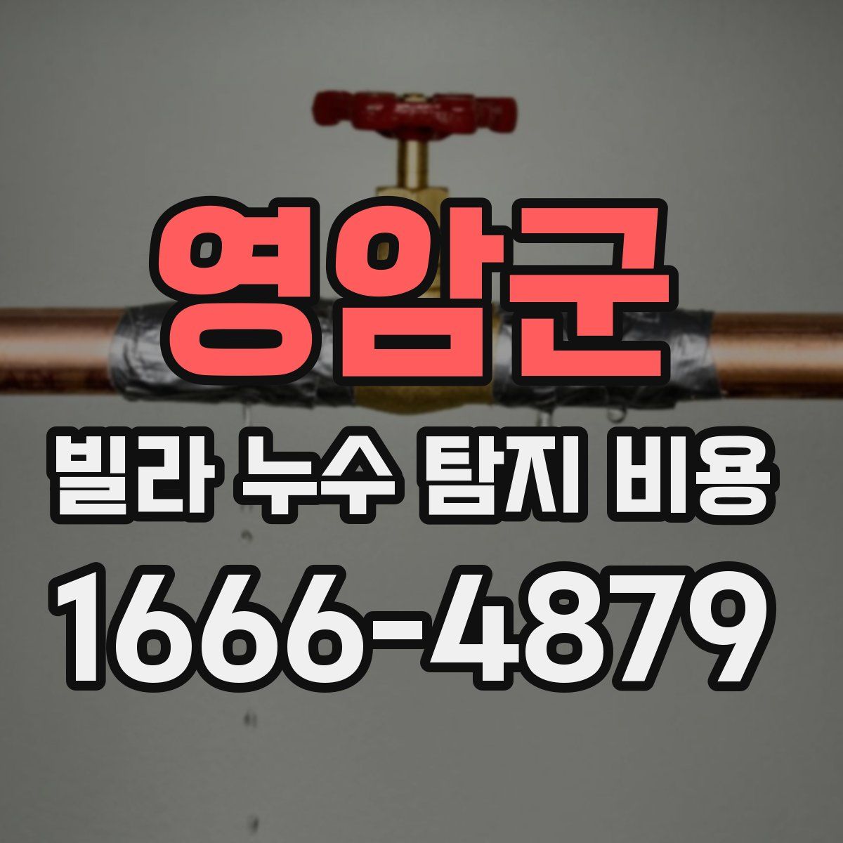 영암군 빌라 누수 탐지 비용