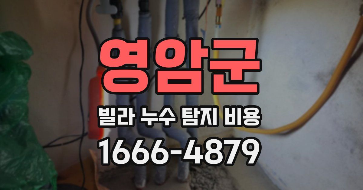 영암군 빌라 누수 탐지 비용