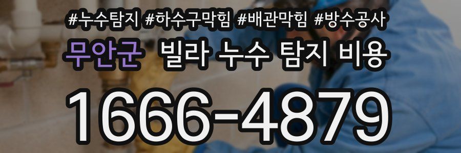 무안군 빌라 누수 탐지 비용