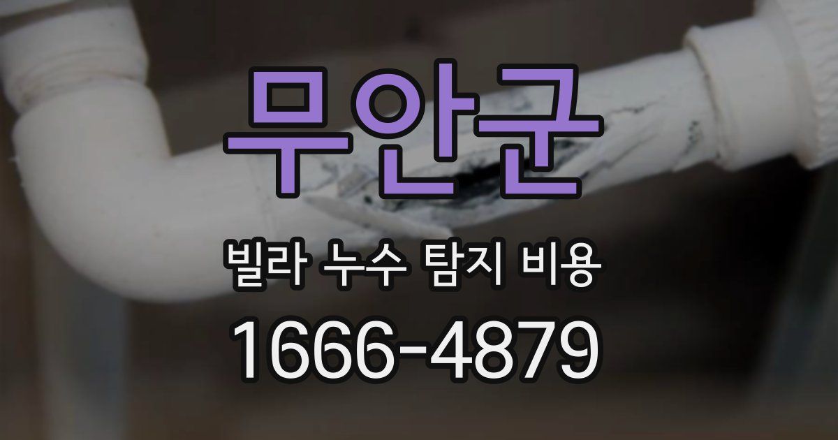 무안군 빌라 누수 탐지 비용