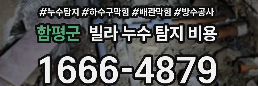 함평군 빌라 누수 탐지 비용