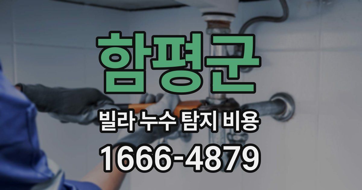 함평군 빌라 누수 탐지 비용