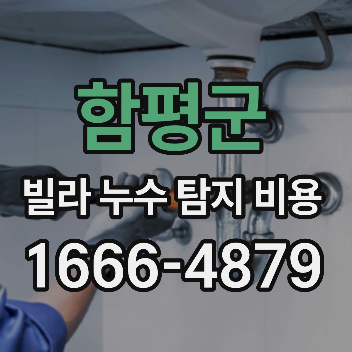 함평군 빌라 누수 탐지 비용