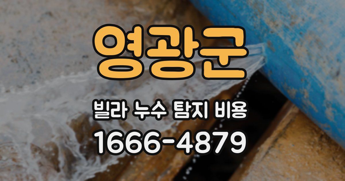 영광군 빌라 누수 탐지 비용