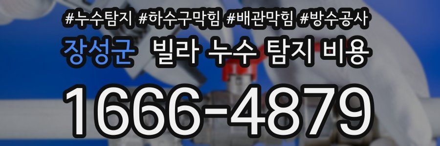 장성군 빌라 누수 탐지 비용