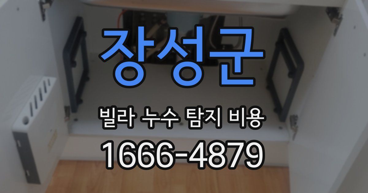 장성군 빌라 누수 탐지 비용