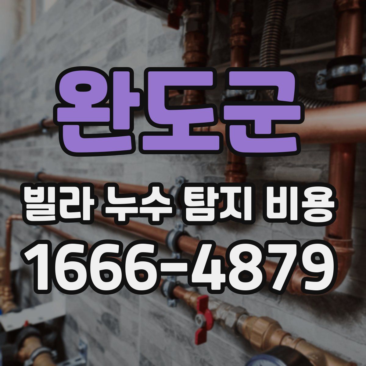 완도군 빌라 누수 탐지 비용