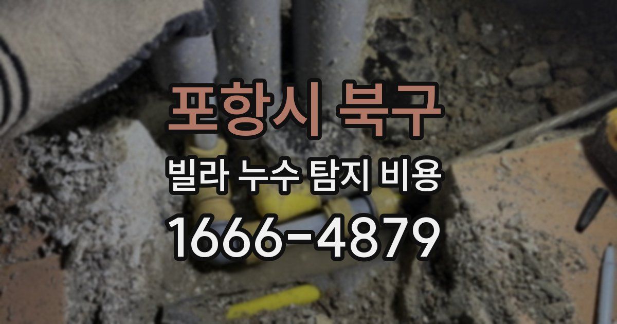 포항시 북구 빌라 누수 탐지 비용