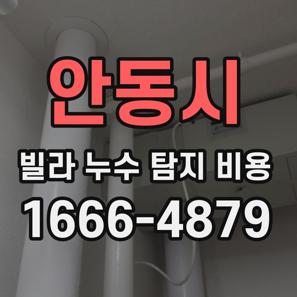 안동시 빌라 누수 탐지 비용