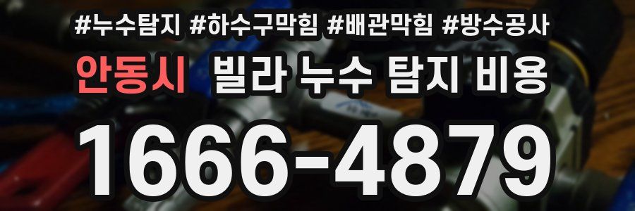 안동시 빌라 누수 탐지 비용
