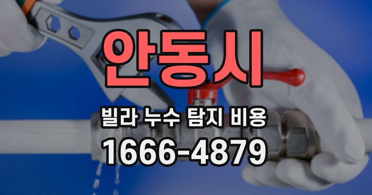 안동시 빌라 누수 탐지 비용