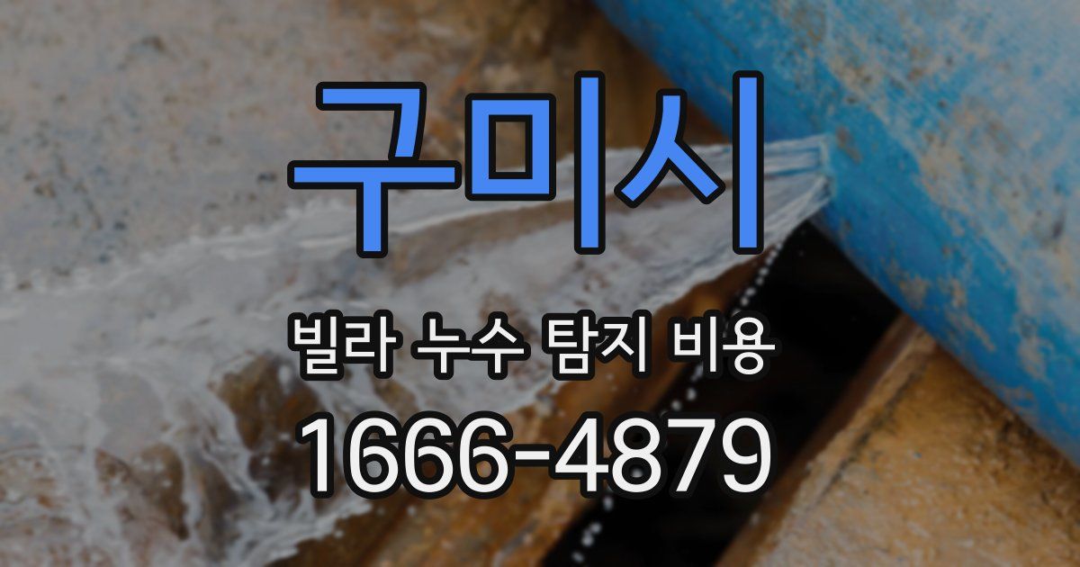 구미시 빌라 누수 탐지 비용