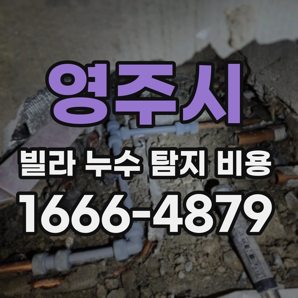 영주시 빌라 누수 탐지 비용